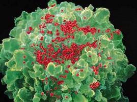 HIV