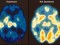 emotion_brain_map