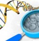 stem-cell-research