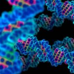 dna