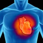cardiovascular
