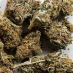 marijuana