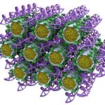 origami_dna