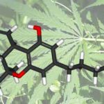 THC
