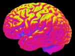 brain_image