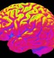 brain_image