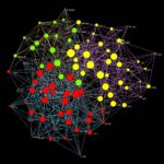 brain_network