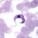 chagas_disease