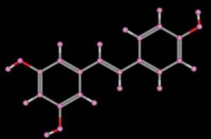 Resveratrol molecule 300x198 Resveratrolo, un aiuto per mantenere la forma fisica