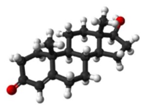 testosterone1 300x226 Obesità: terapia al testosterone riduce il peso