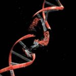 dna_fumo