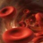 emofilia-novita-terapia