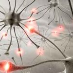 neuroni_