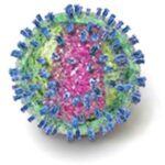 HIV_Green