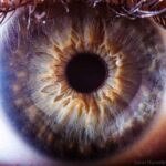 eyes