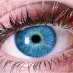 eyes_2