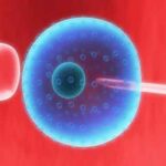 Cancer_Stem_Cells