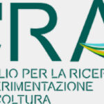 CRA