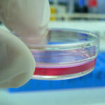 detail-biotech
