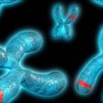 malattie_genetiche