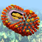 struttura_trid_virus