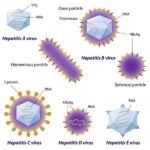 Hepatitis_C