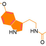 melatonina