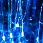 parkinsons-neurons-560x315