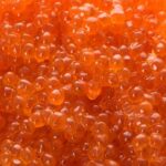 salmone_ogm