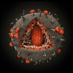 HIV
