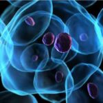 cancer_research