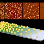 nanoparticelle_oro