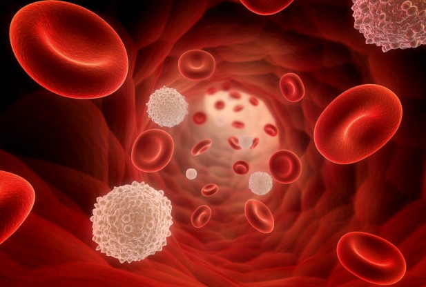 L’analisi del sangue rileva 13 tipi di tumore