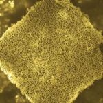 nanospugne