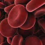blood