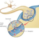 serotonina