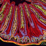 cellule_intestino