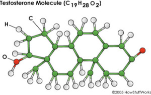 Una molecola di testosterone
