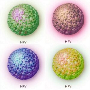 l'HPV warholizzato