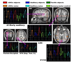 correlati neurali: una mappa 'emozionale' del cervello