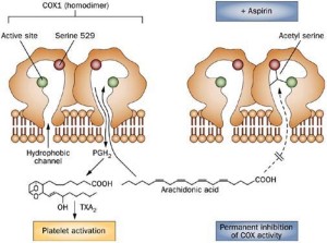 aspirina e enzimi COX-1 e COX-2