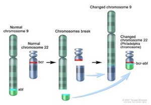 cromosoma 9 - immagine dal web