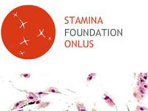 stamina_logo
