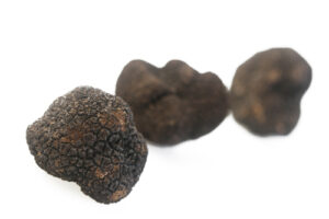 frozen-winter-black-truffles
