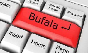 bufala-web